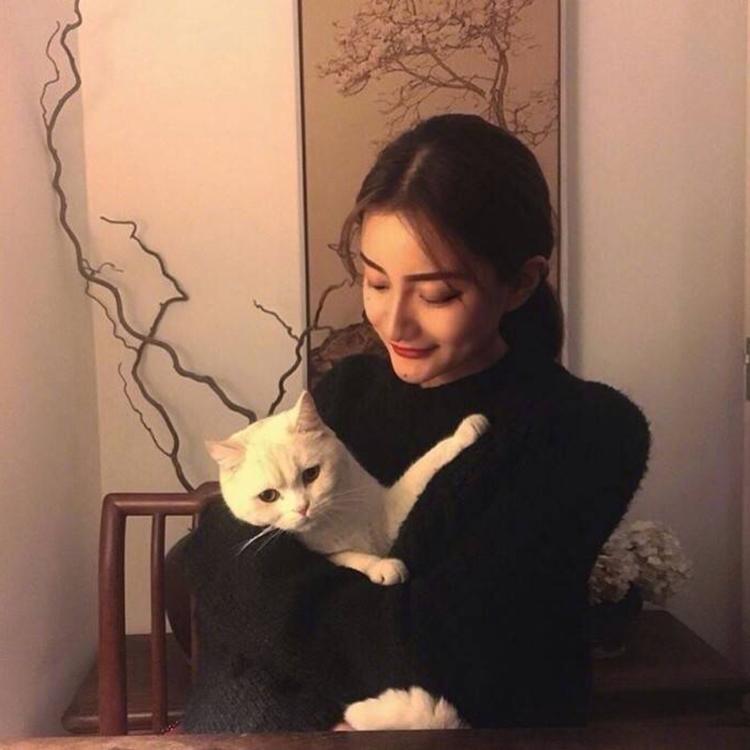 明神弥彦（身份：神谷道场弟子、少年剑客） - 动漫新番免费在线观看 - 网页视频